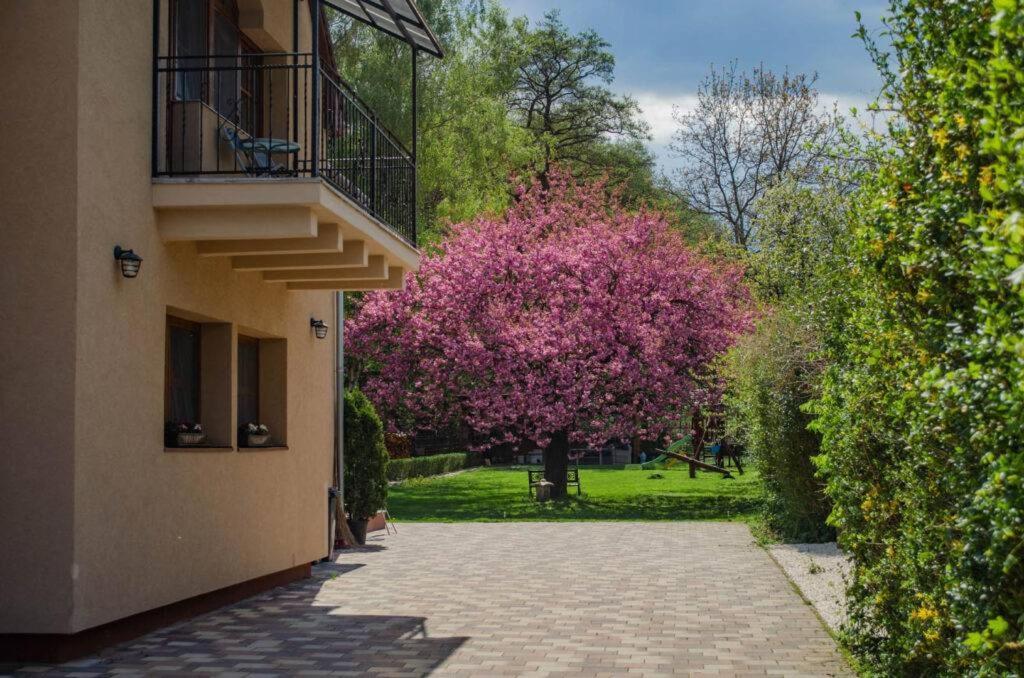 Shubu Zen Vendégház Szilvásvárad Exterior foto